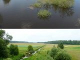 Ūdeņi