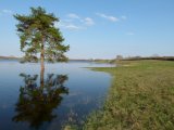 Atskats uz pavasara paliem 2012